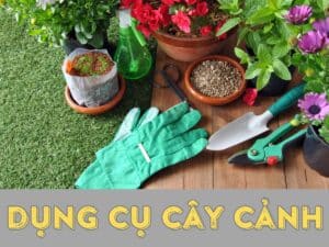 dung cu cay canh