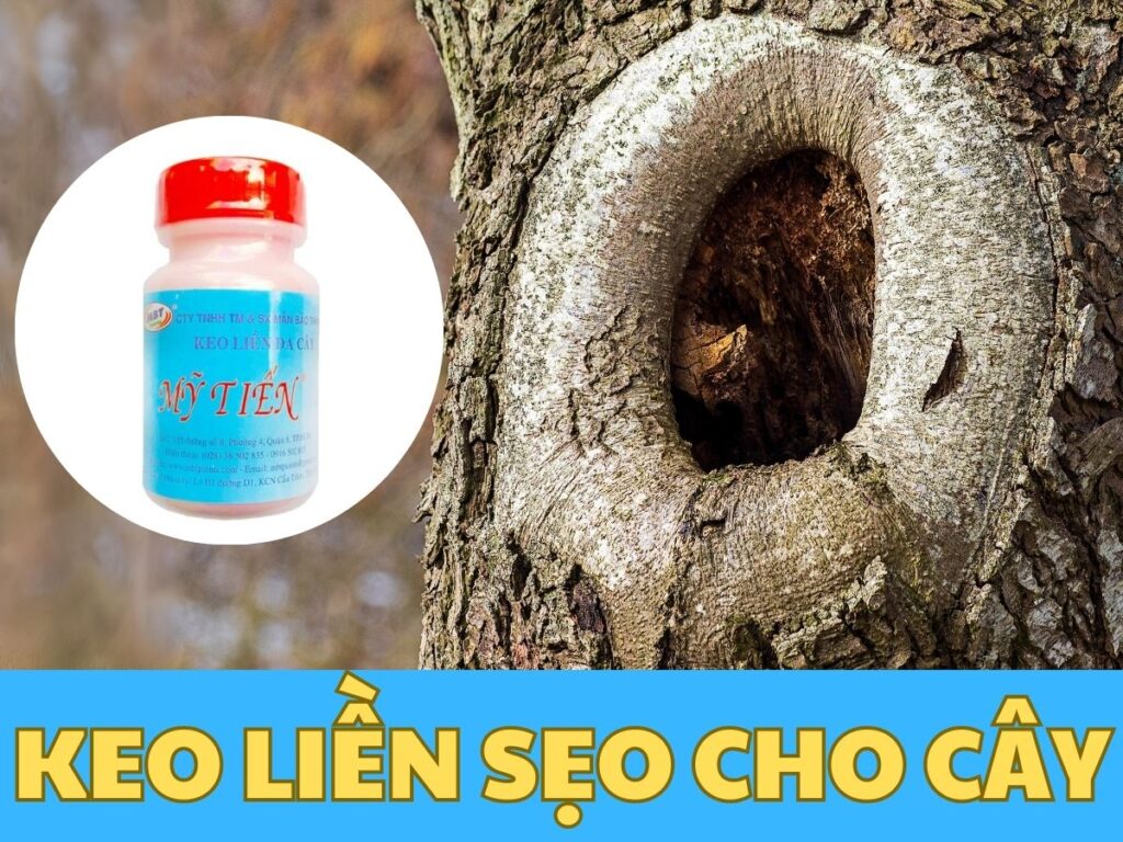 keo liền sẹo cho cây