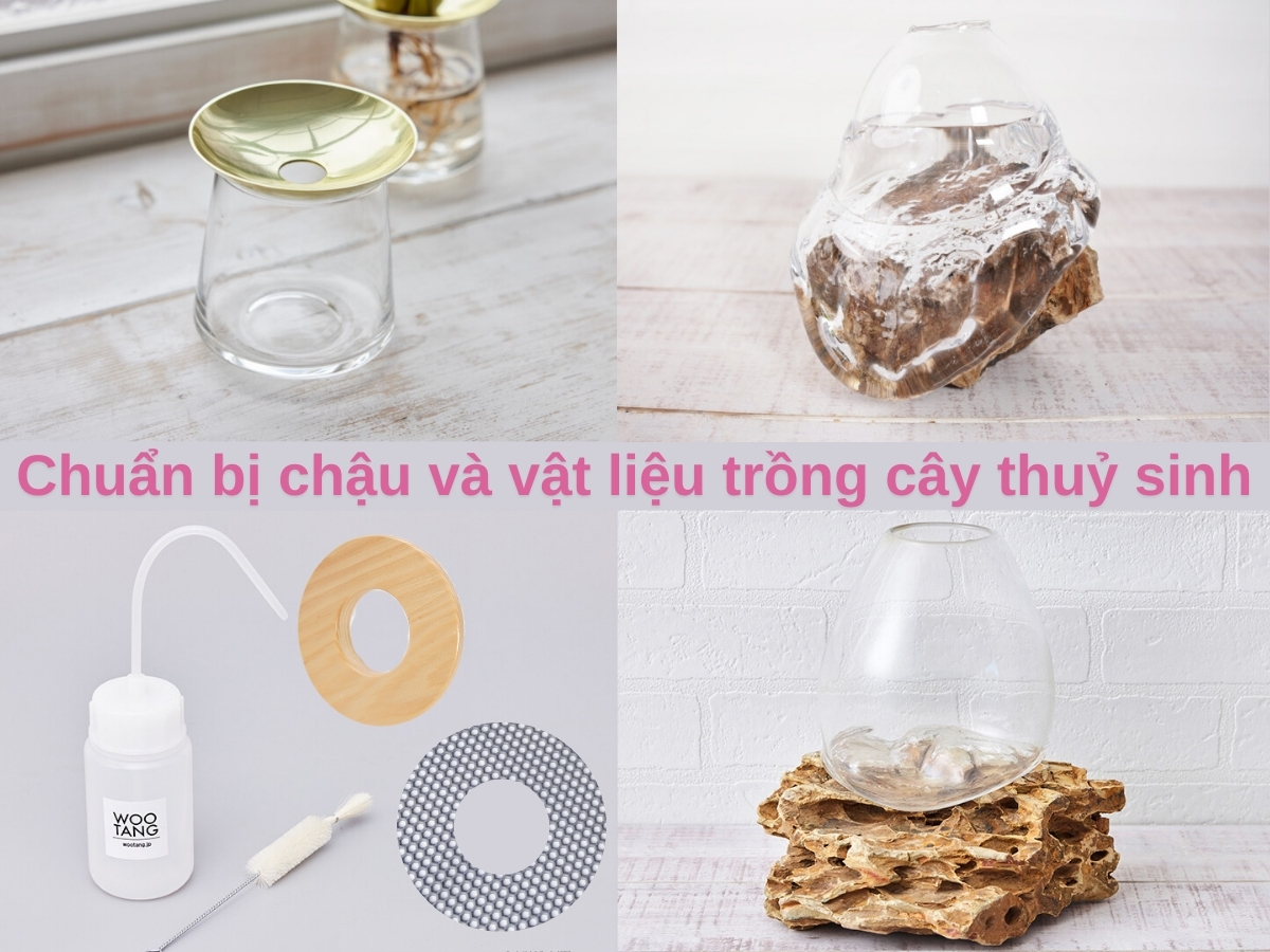 chuẩn bị chậu và vật liệu trồng cây thuỷ sinh